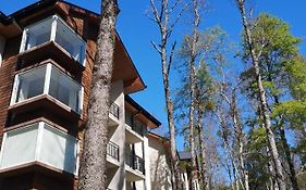 Depto en condo Pucon Andino